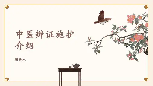 中医辨证施护介绍