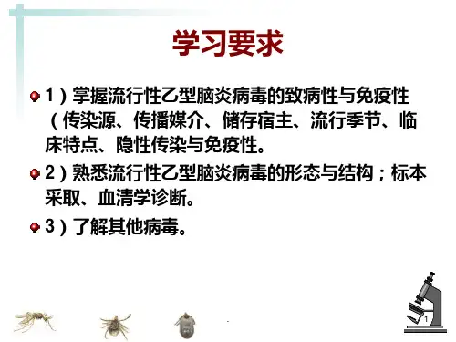 学虫媒病毒-出血热病毒PPT课件