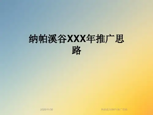 纳帕溪谷XX年推广思路