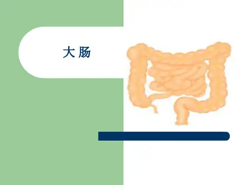 生物“ 大 肠” 课件