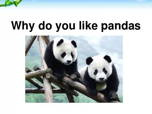 《Why do you like pandas》2-人教版七年级英语下册PPT课件
