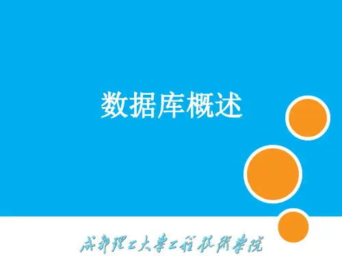 1 数据库概述[50页]