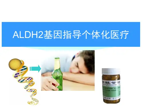 酒精代谢 PPT