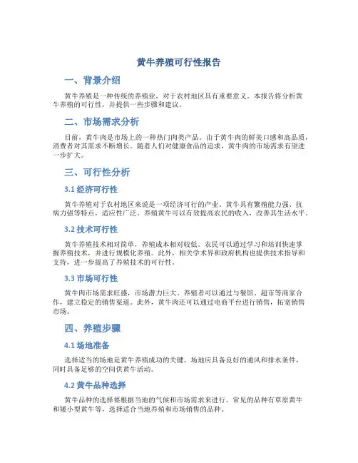 黄牛养殖可行性报告