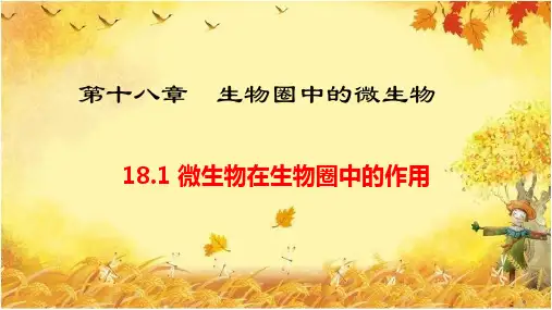 北师大版生物学八年级上册18.1.1-微生物在生物圈中的作用ppt教学课件