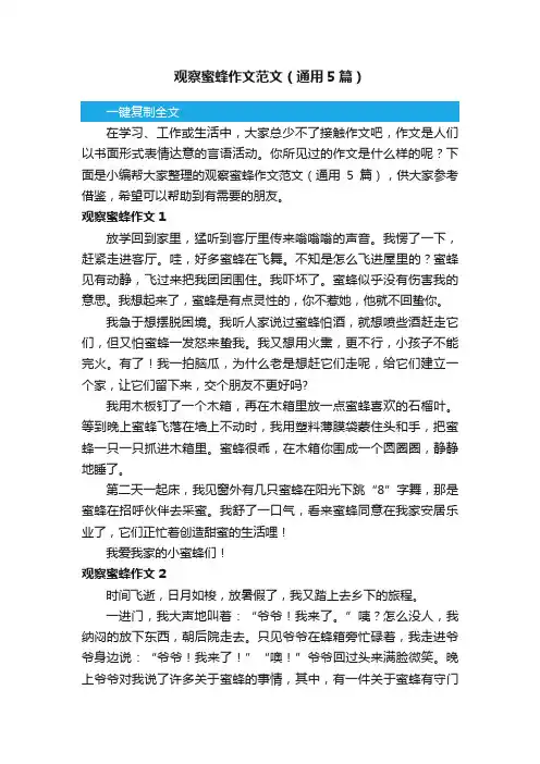 观察蜜蜂作文范文（通用5篇）