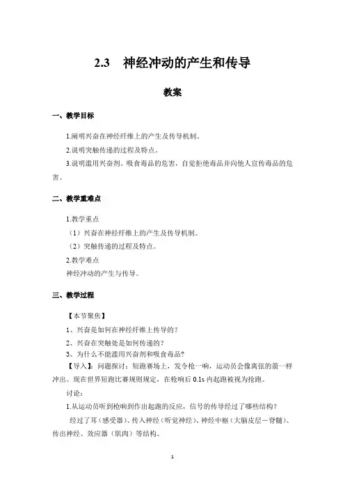 高中生物选择性必修一   2 3 神经冲动的产生和传导 教案