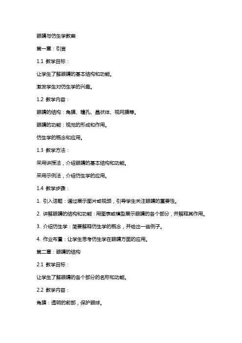 眼睛与仿生学教案