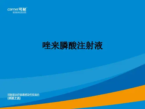 唑来膦酸注射液ppt课件