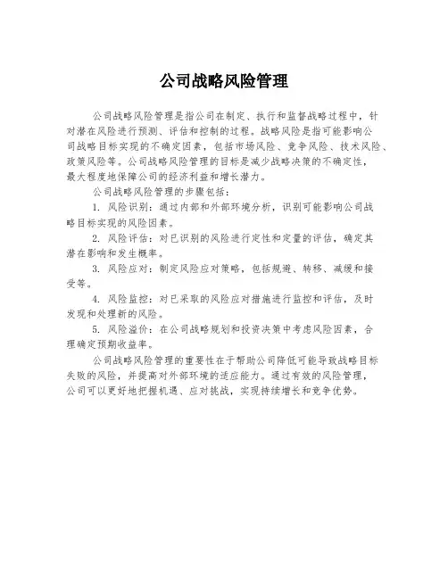 公司战略风险管理