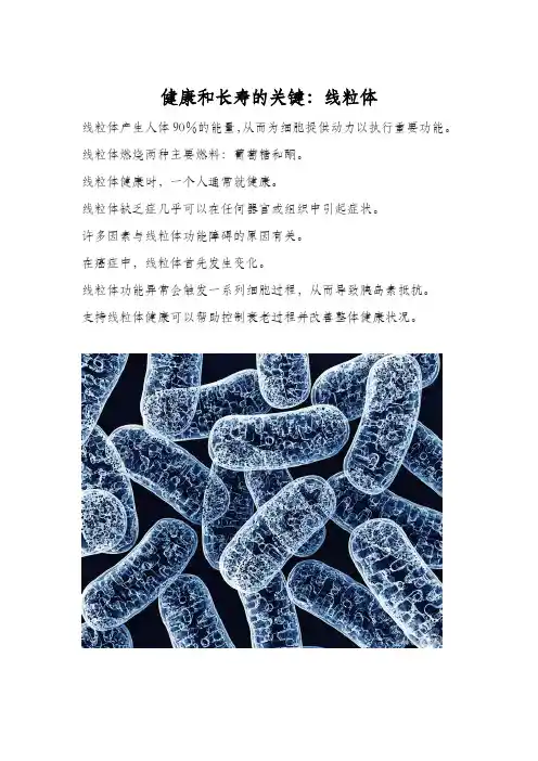健康和长寿的关键：线粒体