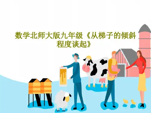 数学北师大版九年级《从梯子的倾斜程度谈起》PPT文档共49页