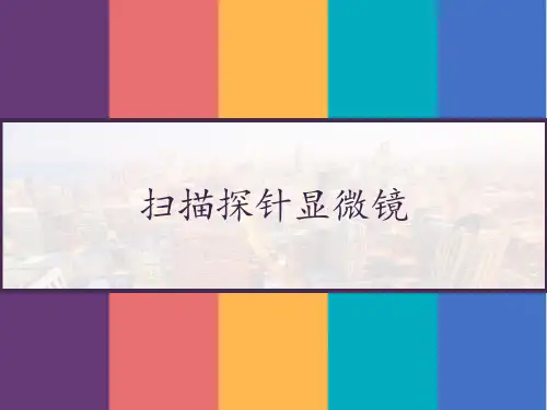 扫描探针显微镜 PPT