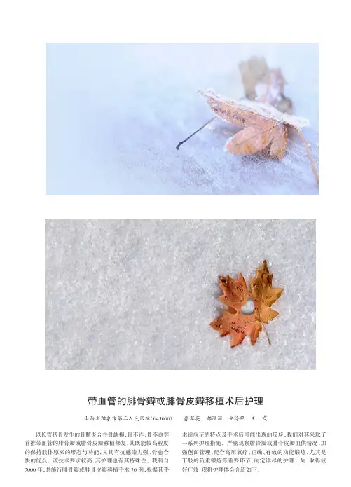 带血管的腓骨瓣或腓骨皮瓣移植术后护理_张翠英