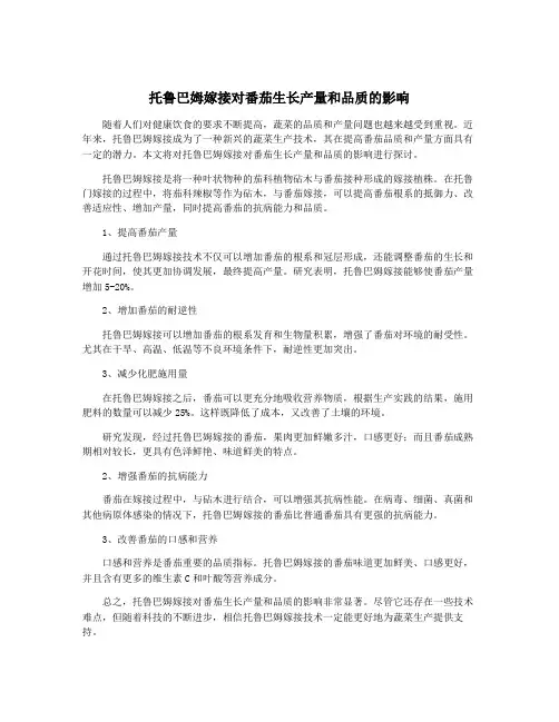 托鲁巴姆嫁接对番茄生长产量和品质的影响
