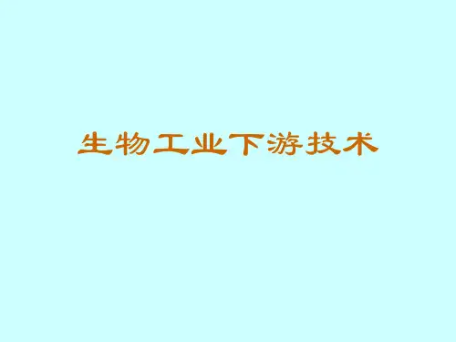 第一章  绪论  第二章  下游技术理论基础
