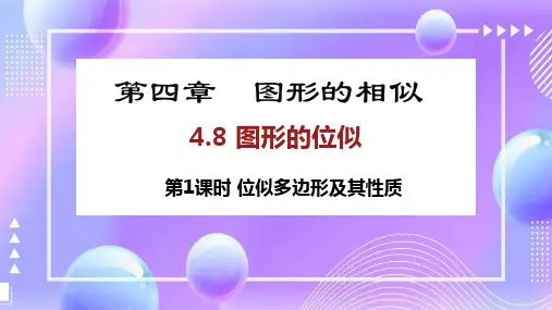 4.8+图形的位似++课件 2024——2025学年北师大版数学九年级上册