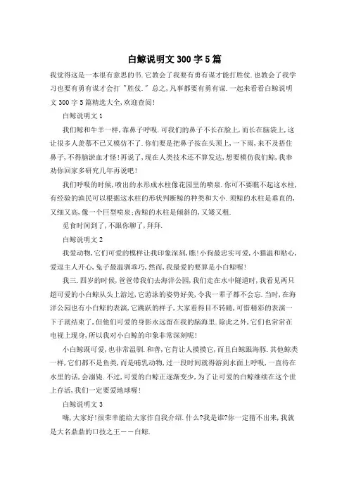 白鲸说明文300字5篇