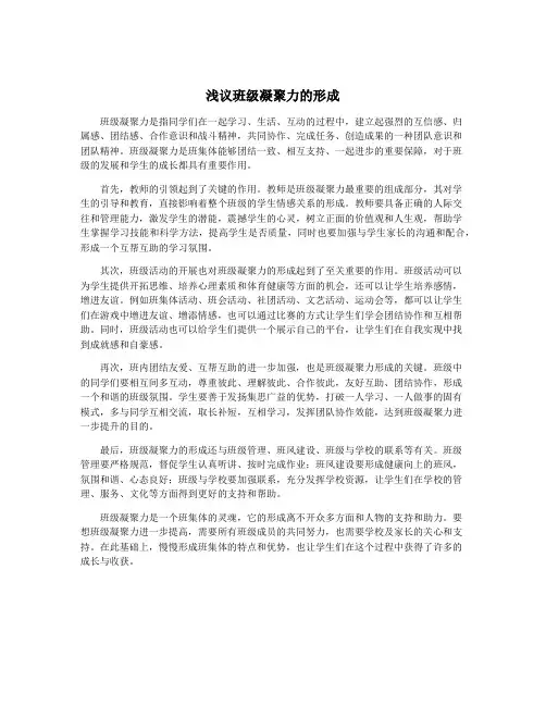 浅议班级凝聚力的形成