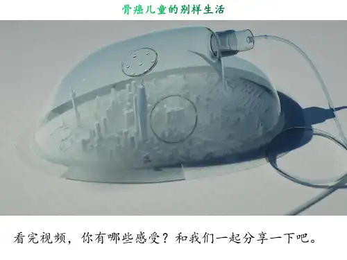道法部编版八上《我与社会》优秀教学课件PPT