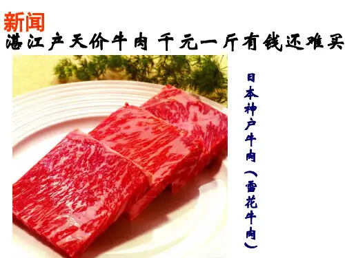 胚胎工程的运用及前景PPT课件