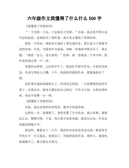 六年级作文我懂得了什么什么500字