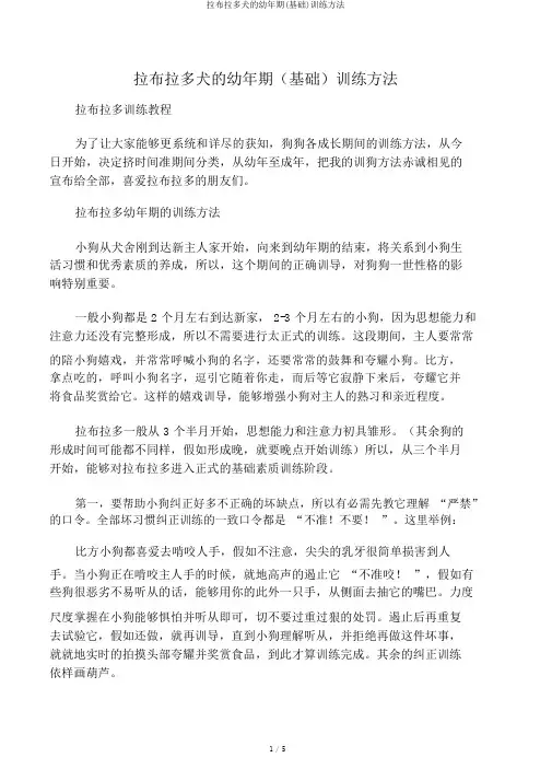 拉布拉多犬的幼年期(基础)训练方法