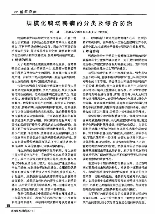 规模化鸭场鸭病的分类及综合防治