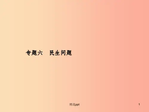 甘肃省201X中考历史总复习 专题六 民生问题课件(1)