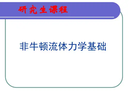 非牛顿流体(3)