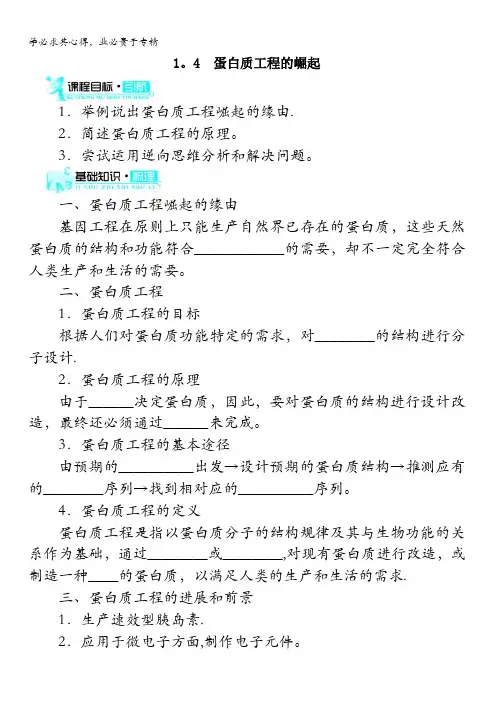 生物选修3学案：1.4蛋白质工程的崛起含解析