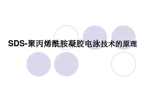 聚丙烯酰胺凝胶电泳技术原理