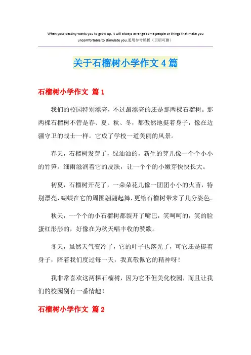 关于石榴树小学作文4篇