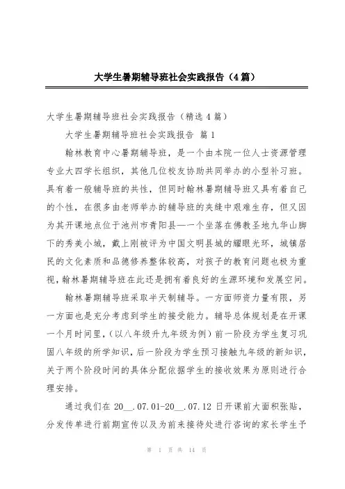 大学生暑期辅导班社会实践报告(4篇)