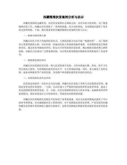 西藏精准扶贫案例分析与启示