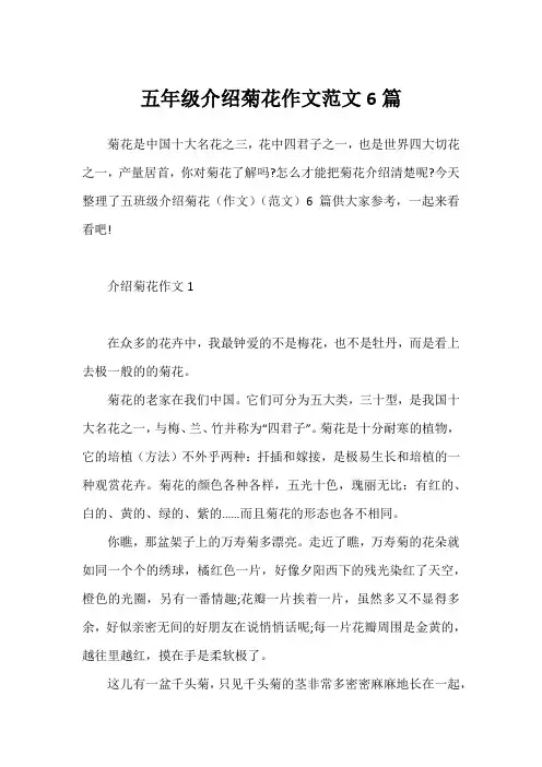 五年级介绍菊花作文范文6篇