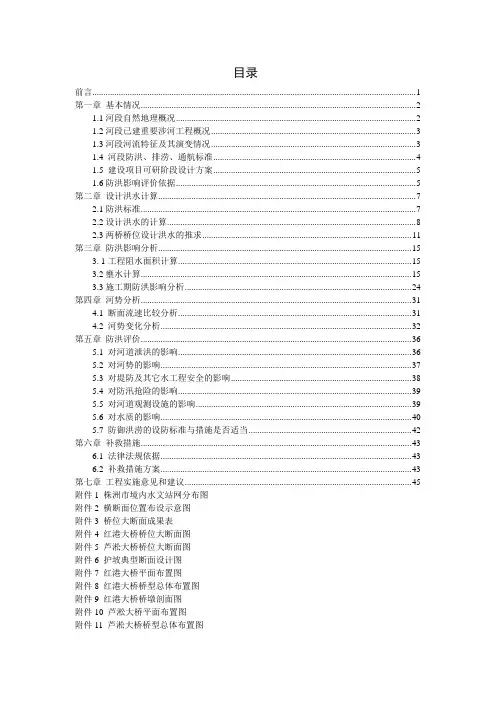 大桥工程建设项目防洪影响评价报告