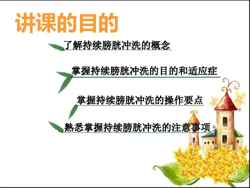 医学课件持续膀胱冲洗法