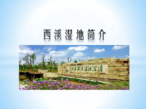 西溪湿地简介
