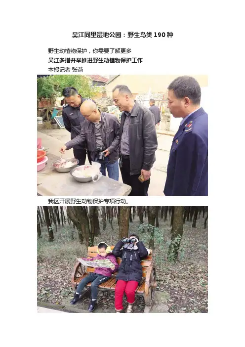 吴江同里湿地公园：野生鸟类190种