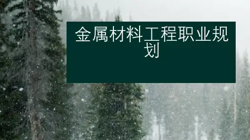 金属材料工程职业规划