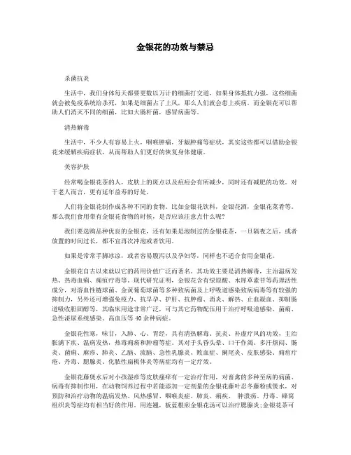 金银花的功效与禁忌
