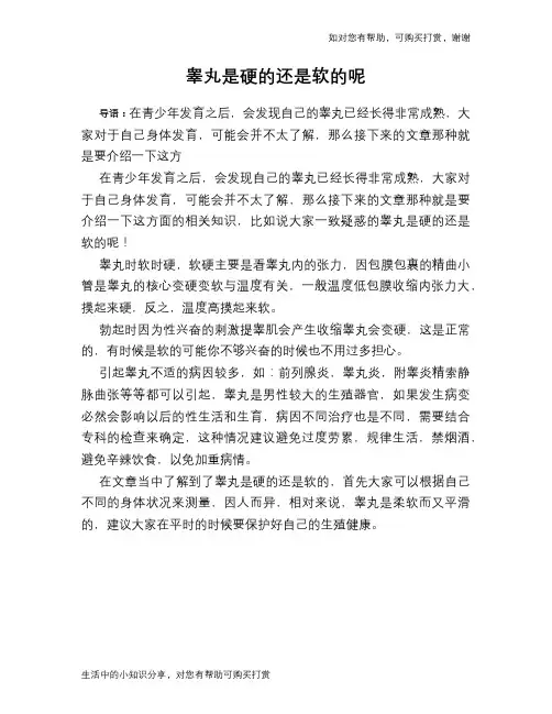 睾丸是硬的还是软的呢