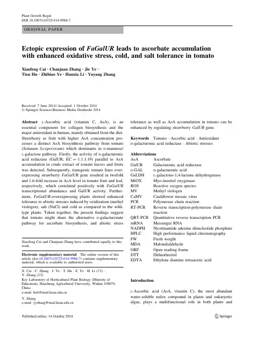 Ectopic expression of FaGalUR leads to ascorbate accumulation in tomato