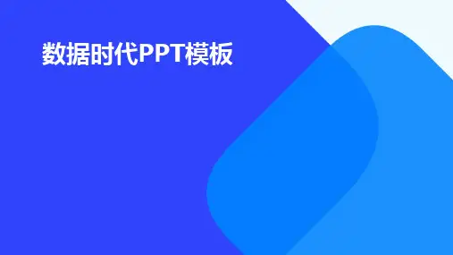 2024版数据时代PPT模板