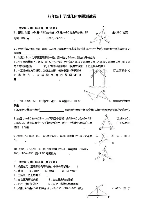 八年级上学期几何专题测试卷.doc