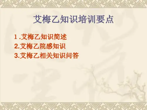 艾梅乙PPT演示课件