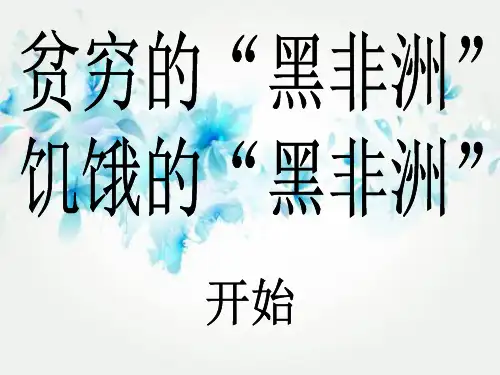 撒哈拉以南的非洲的经济PPT教学课件