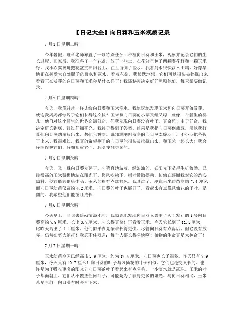 【日记大全】向日葵和玉米观察记录