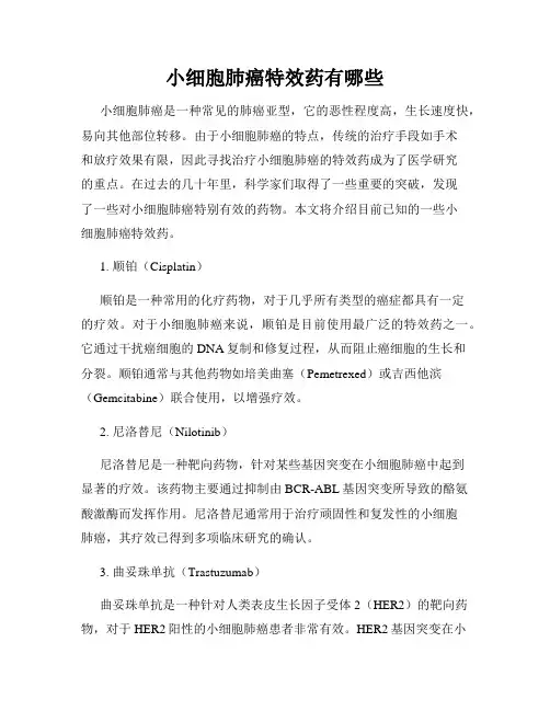 小细胞肺癌特效药有哪些